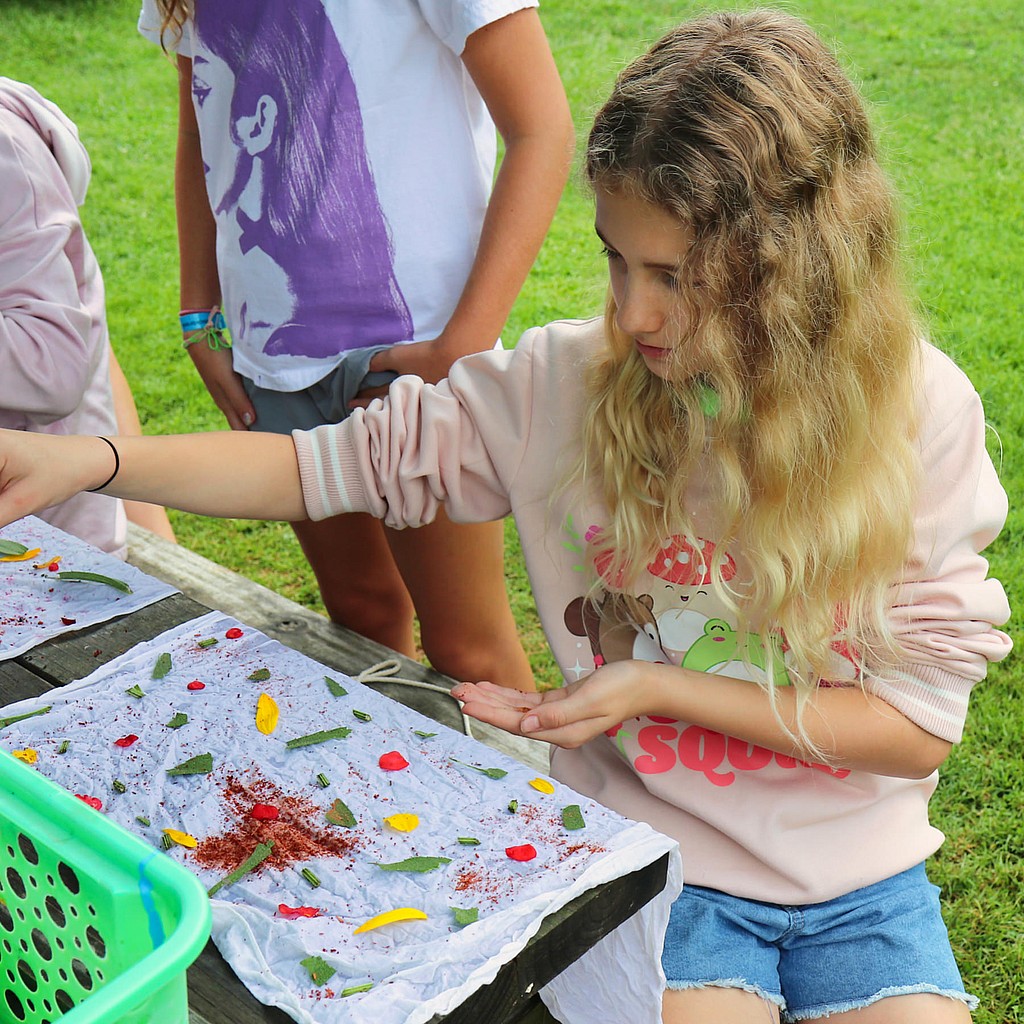 camp garden art dyes