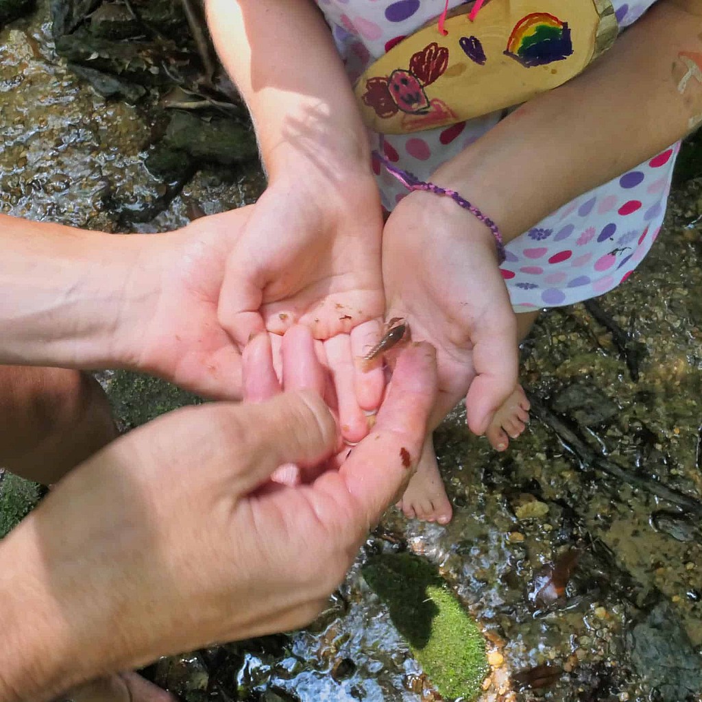 summer camp nature exploration