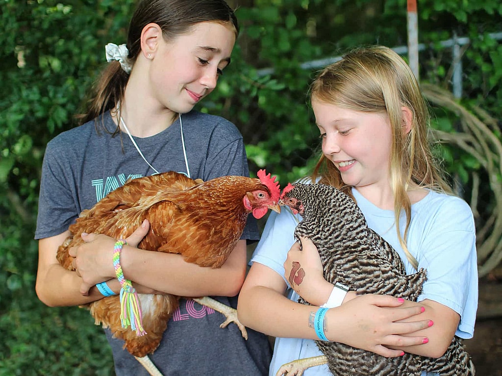 camp girls chicken hug