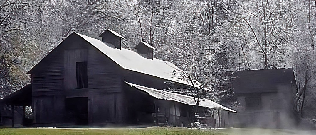 frosty cold north carolina morning