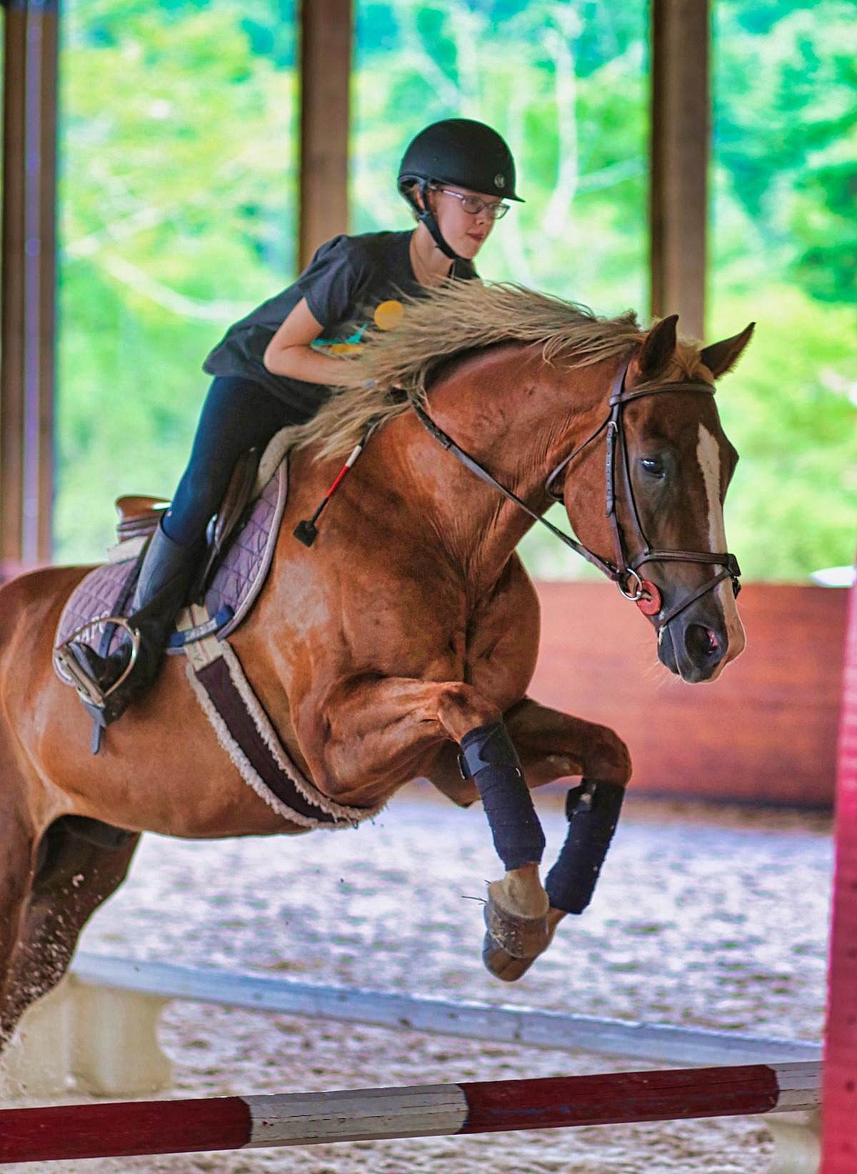 Horse cheap riding glasses