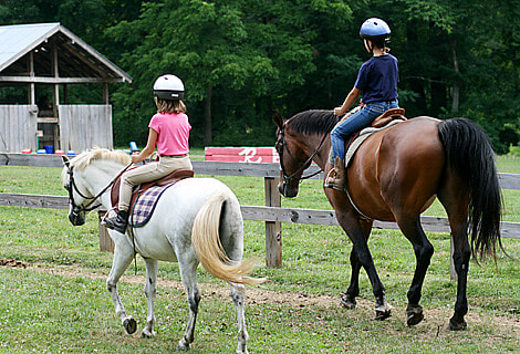 Horse Girl Teen and Young