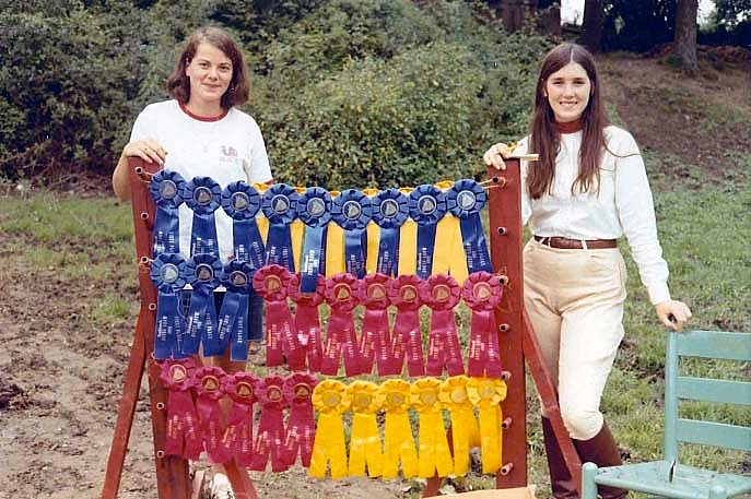 Ribbons at the horse show