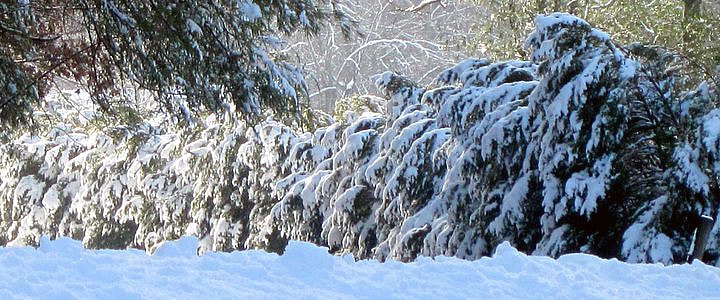 Rockbrook Camp Snow