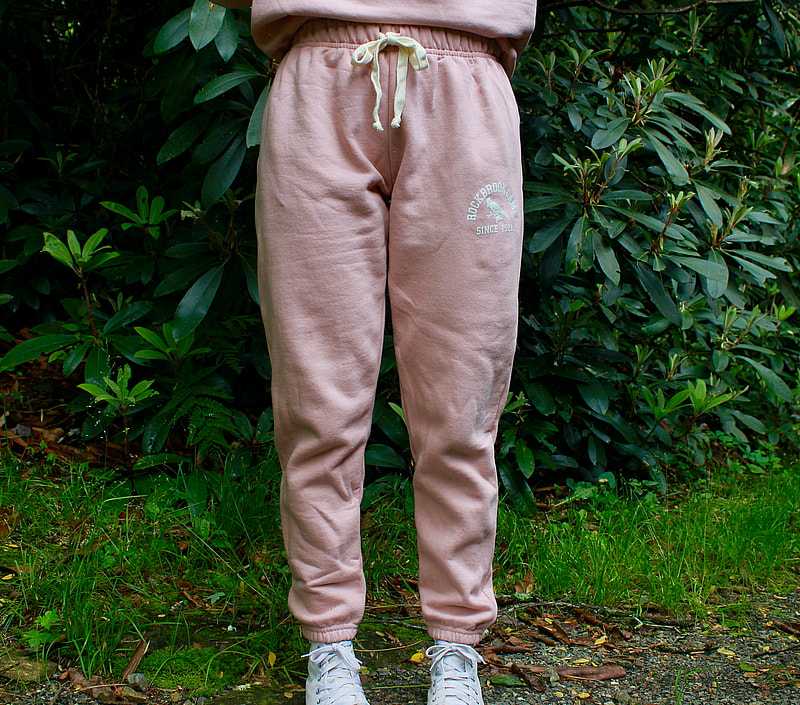light pink sweatpants modeled