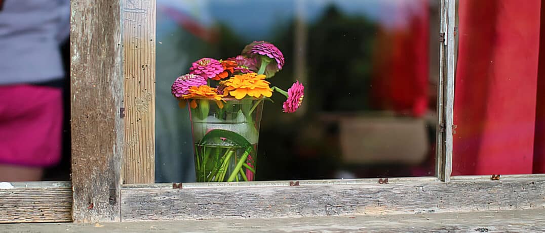 beautiful camp cabin window