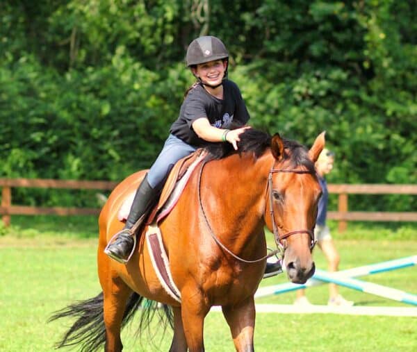 Horseback Riding Activity 