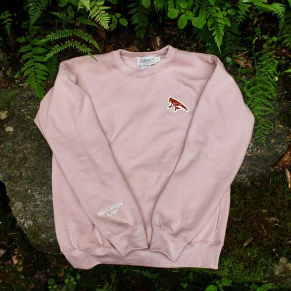 light pink sweatshirt