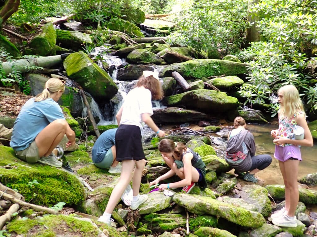 camp girls exploring a stream