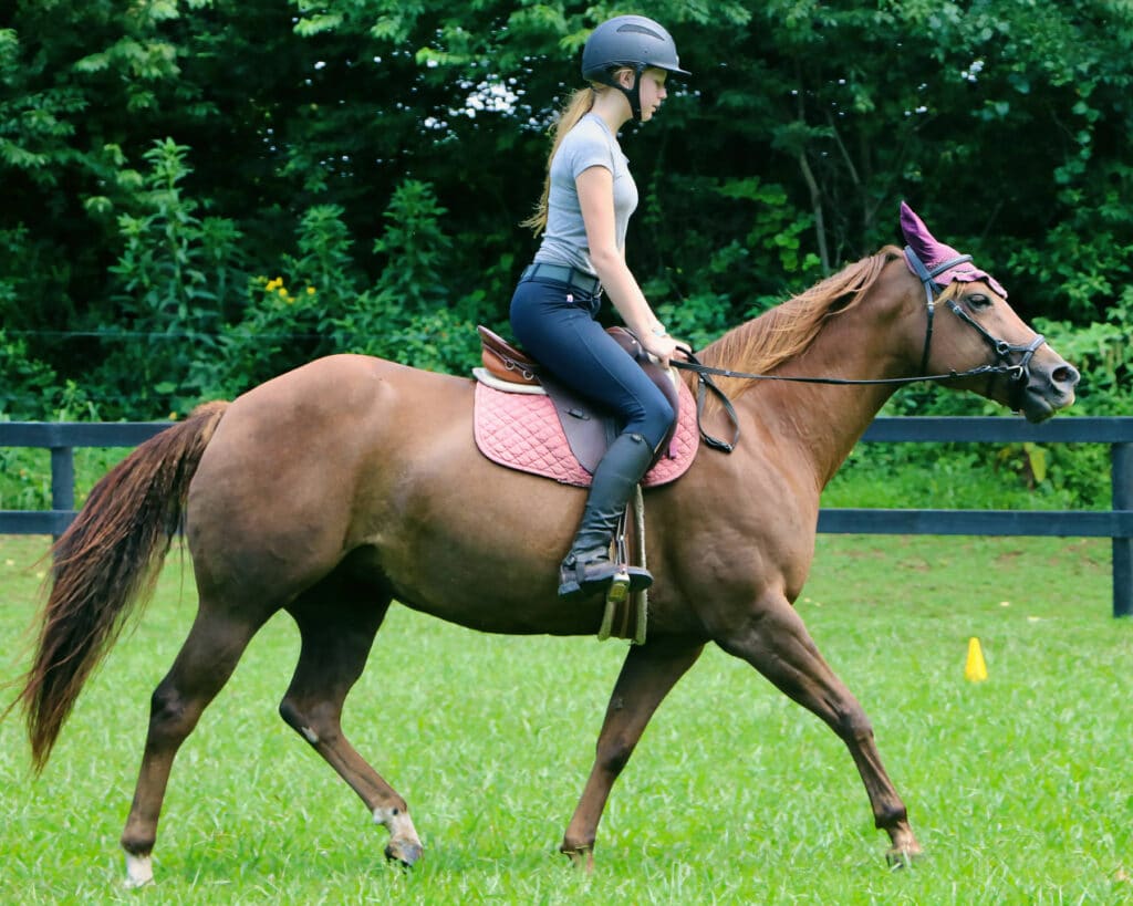 summer camp horse girl