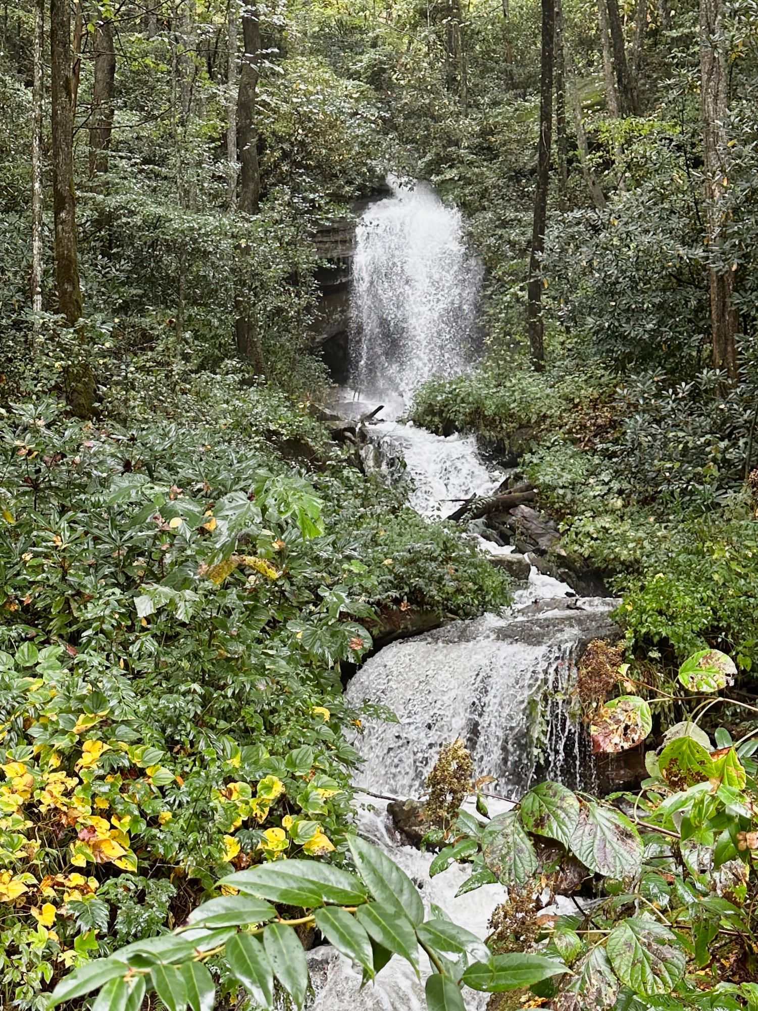 Flooded waterfall on Rockbrook camp NC property